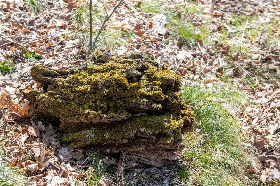 Image number 48 for the current listing
