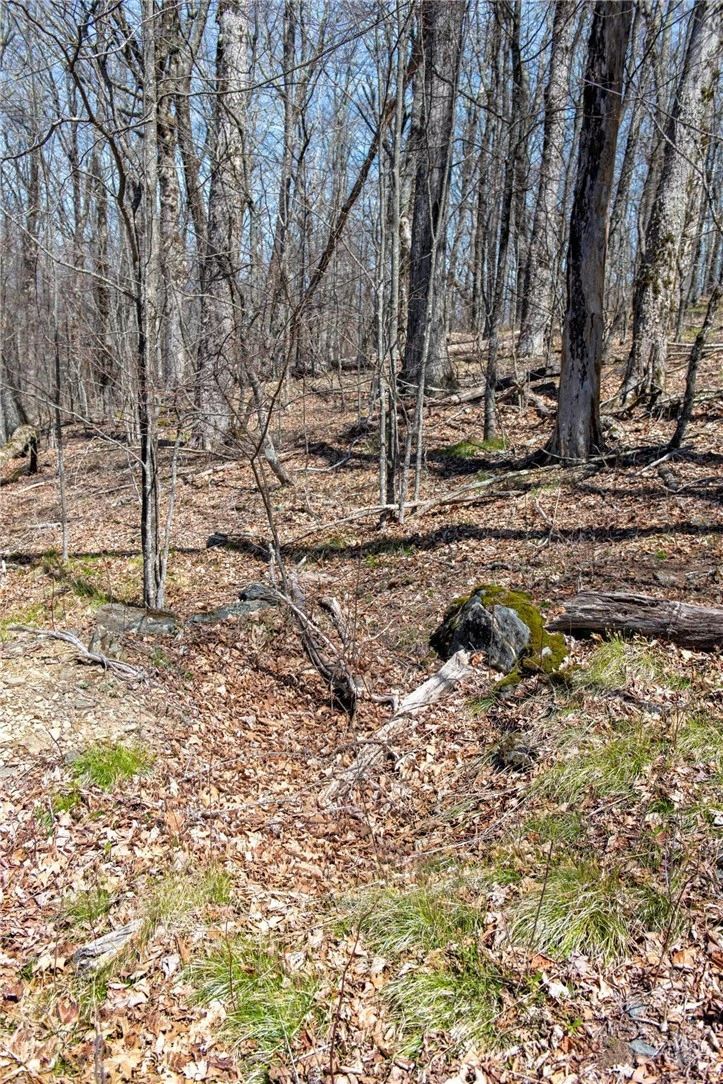 Image number 3 for the current listing