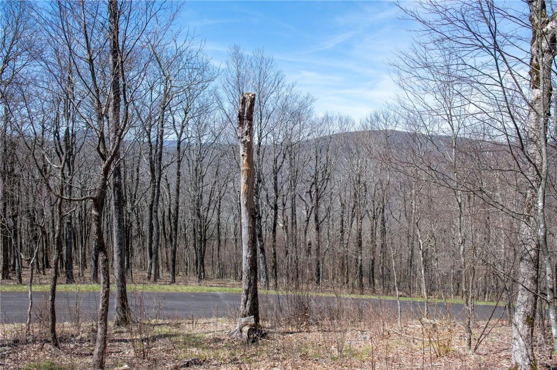 Image number 4 for the current listing