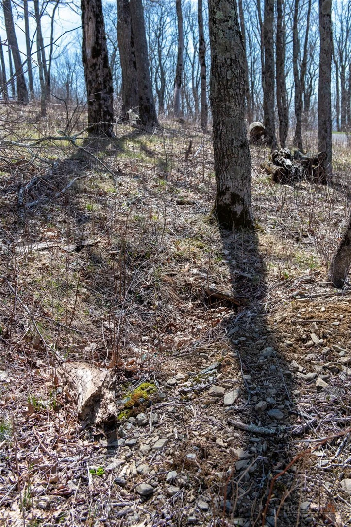 Image number 5 for the current listing