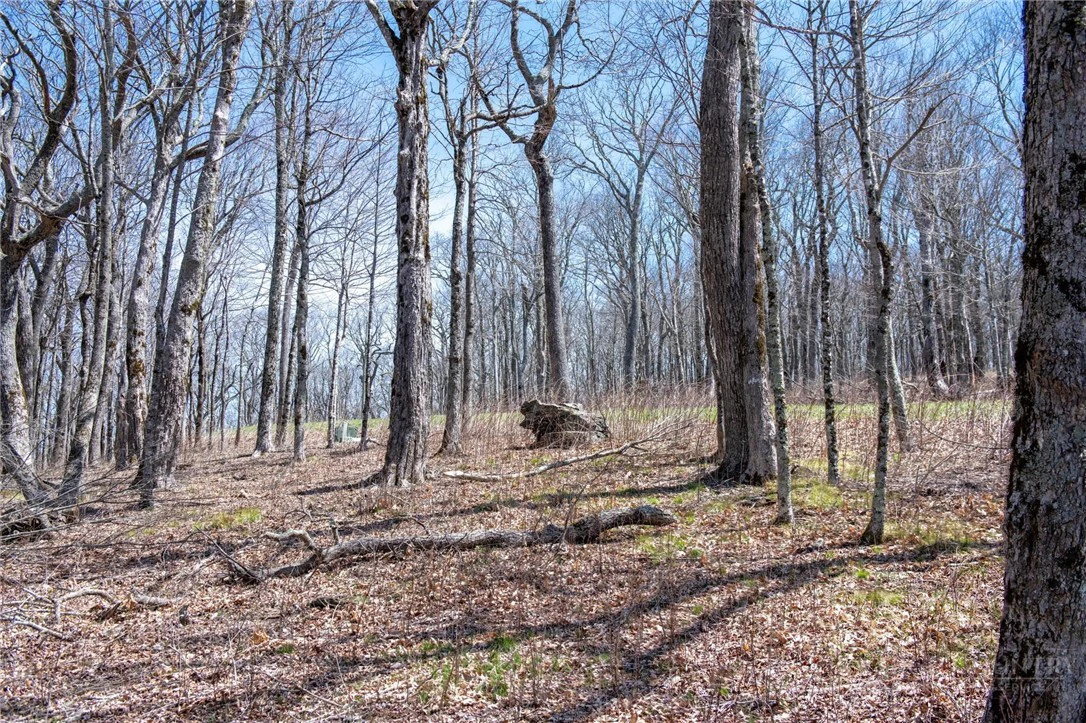 Image number 6 for the current listing