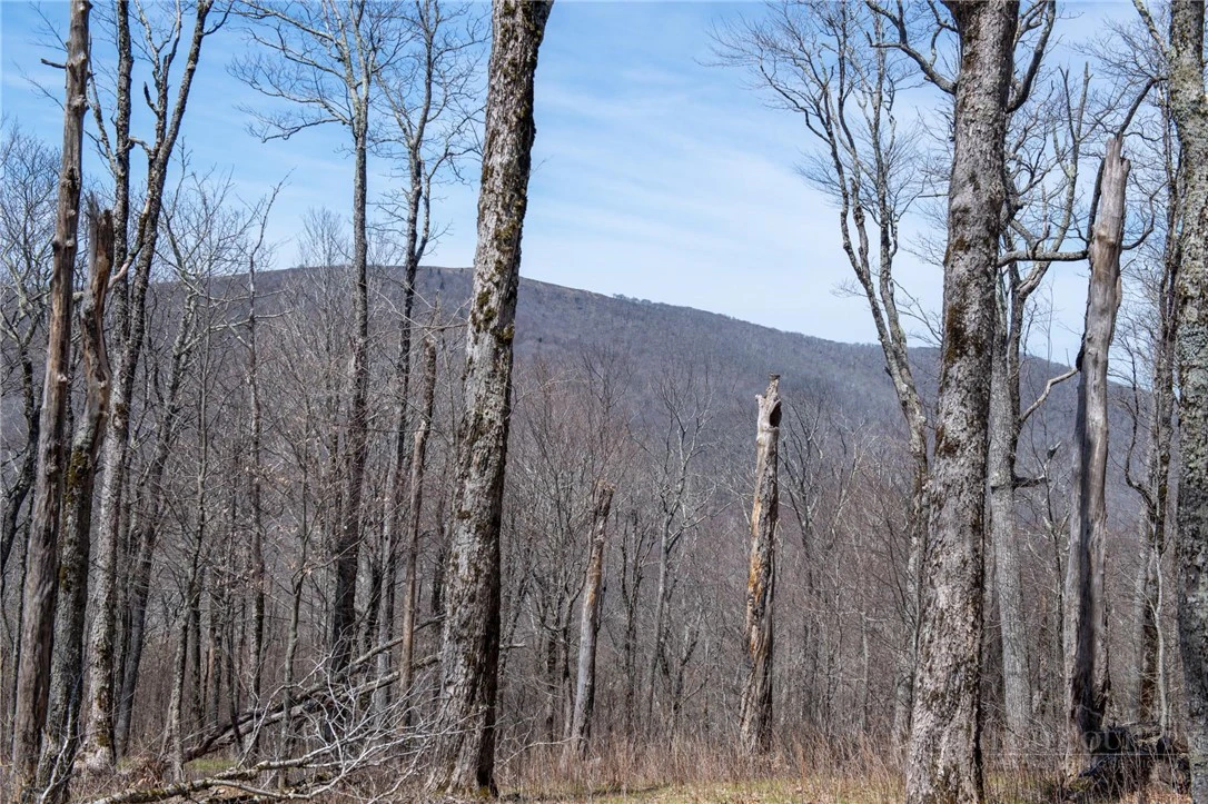 Image number 9 for the current listing