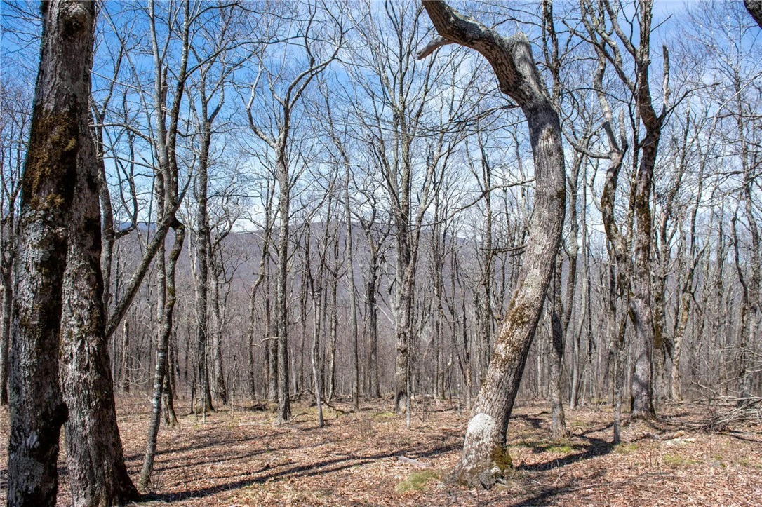 Image number 1 for the current listing