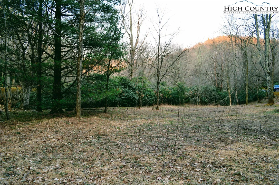 Image number 15 for the current listing