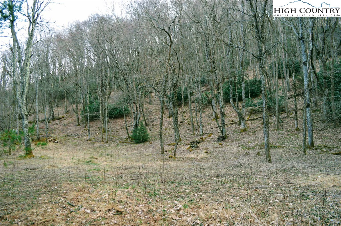 Image number 14 for the current listing