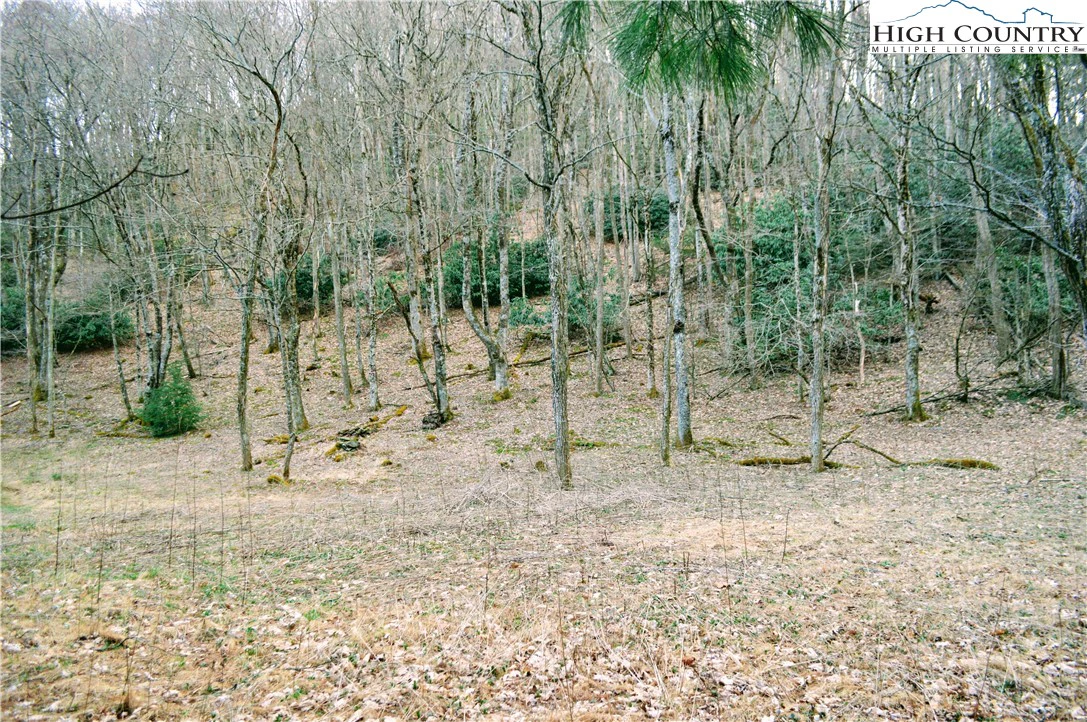 Image number 13 for the current listing
