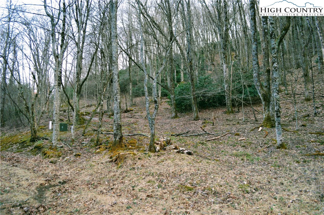 Image number 1 for the current listing