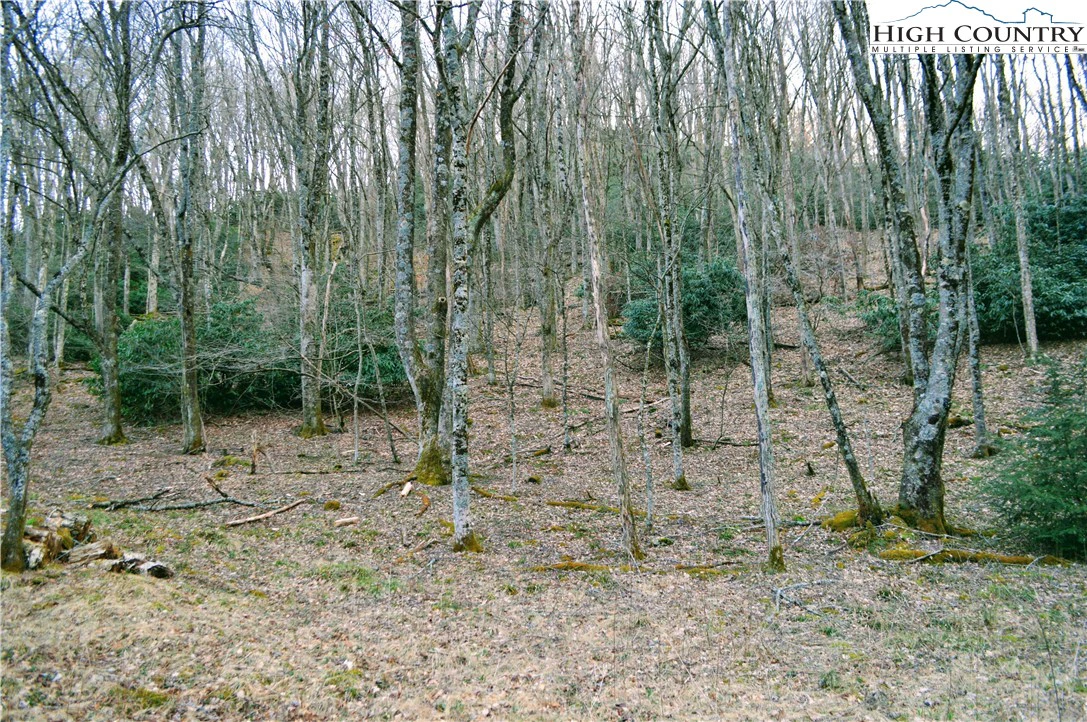 Image number 12 for the current listing