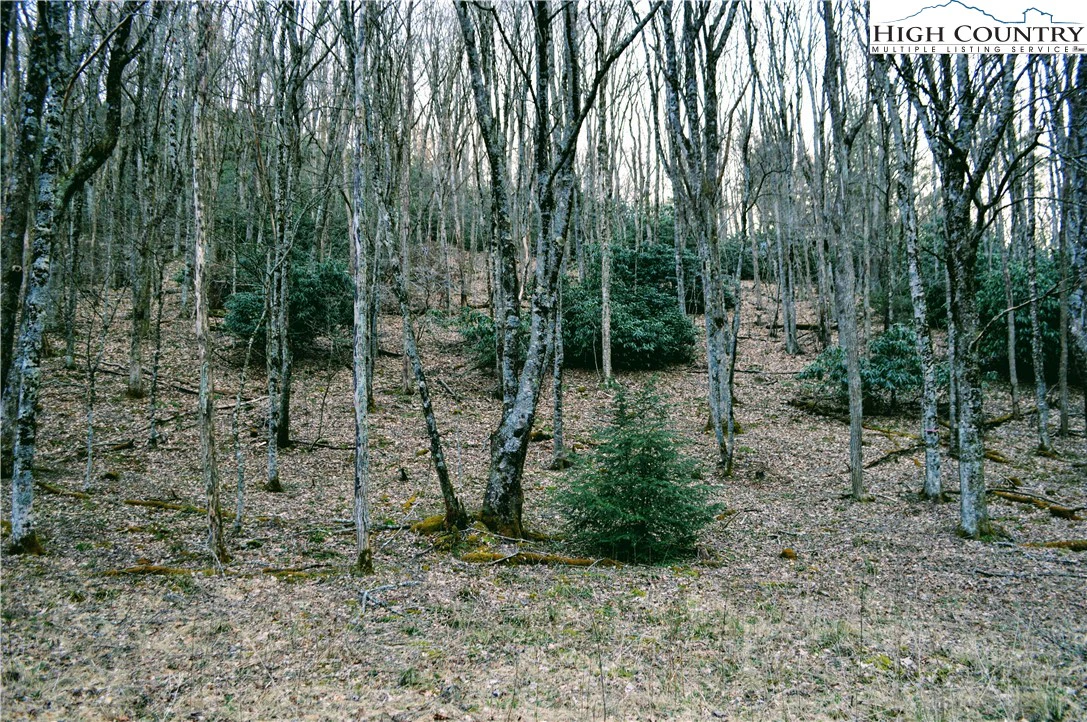 Image number 11 for the current listing