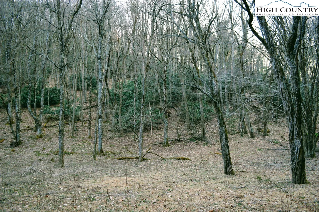 Image number 10 for the current listing
