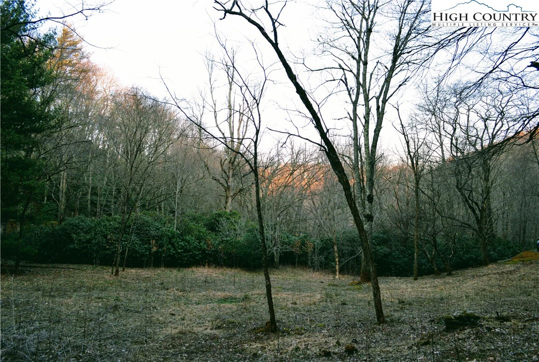 Image number 9 for the current listing