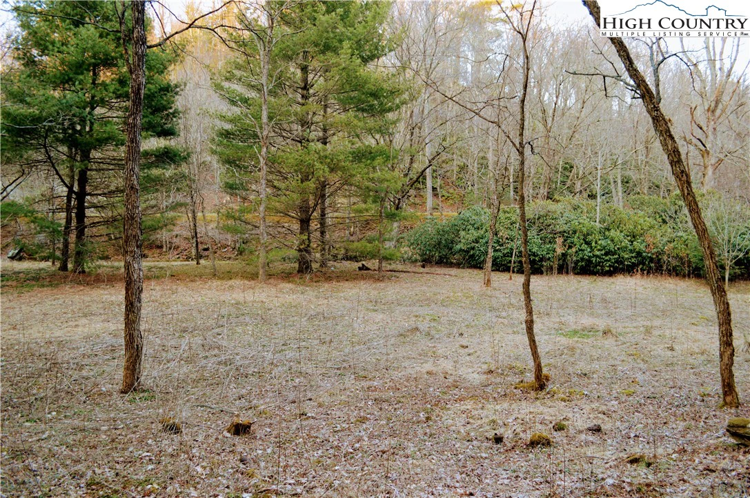 Image number 8 for the current listing