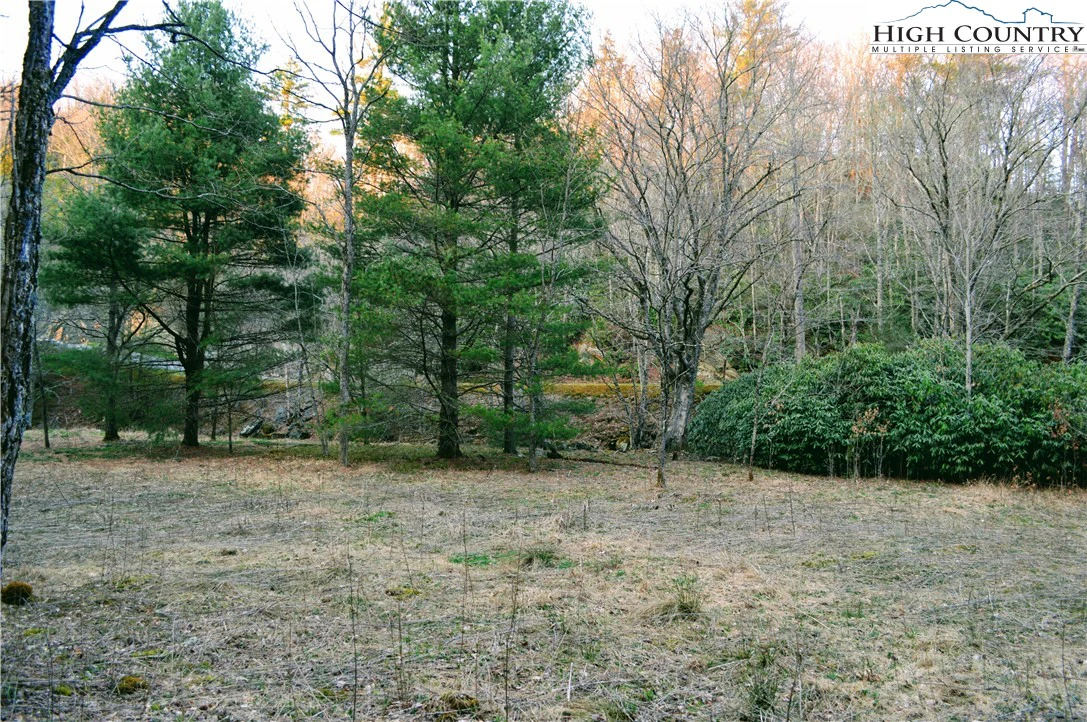 Image number 7 for the current listing