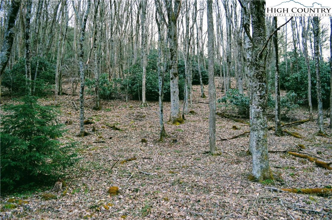 Image number 6 for the current listing