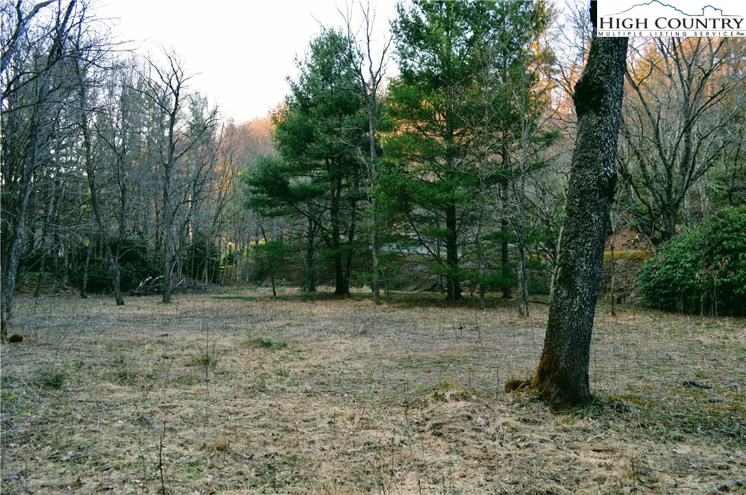 Image number 5 for the current listing
