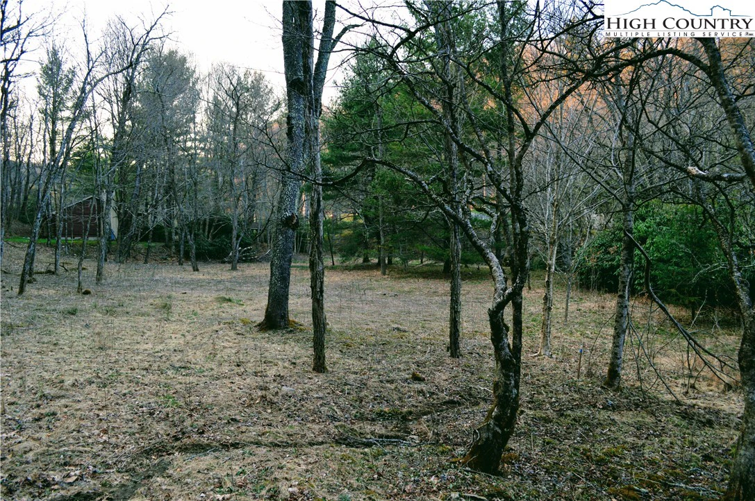 Image number 4 for the current listing