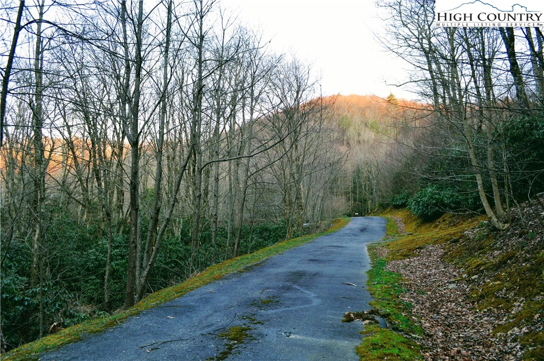 Image number 3 for the current listing
