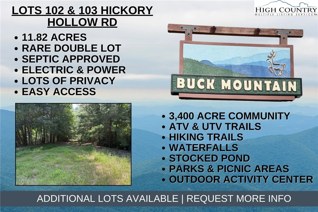 Image number 1 for the current listing