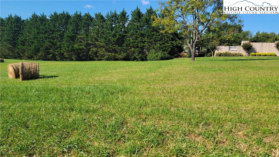 Image number 1 for the current listing