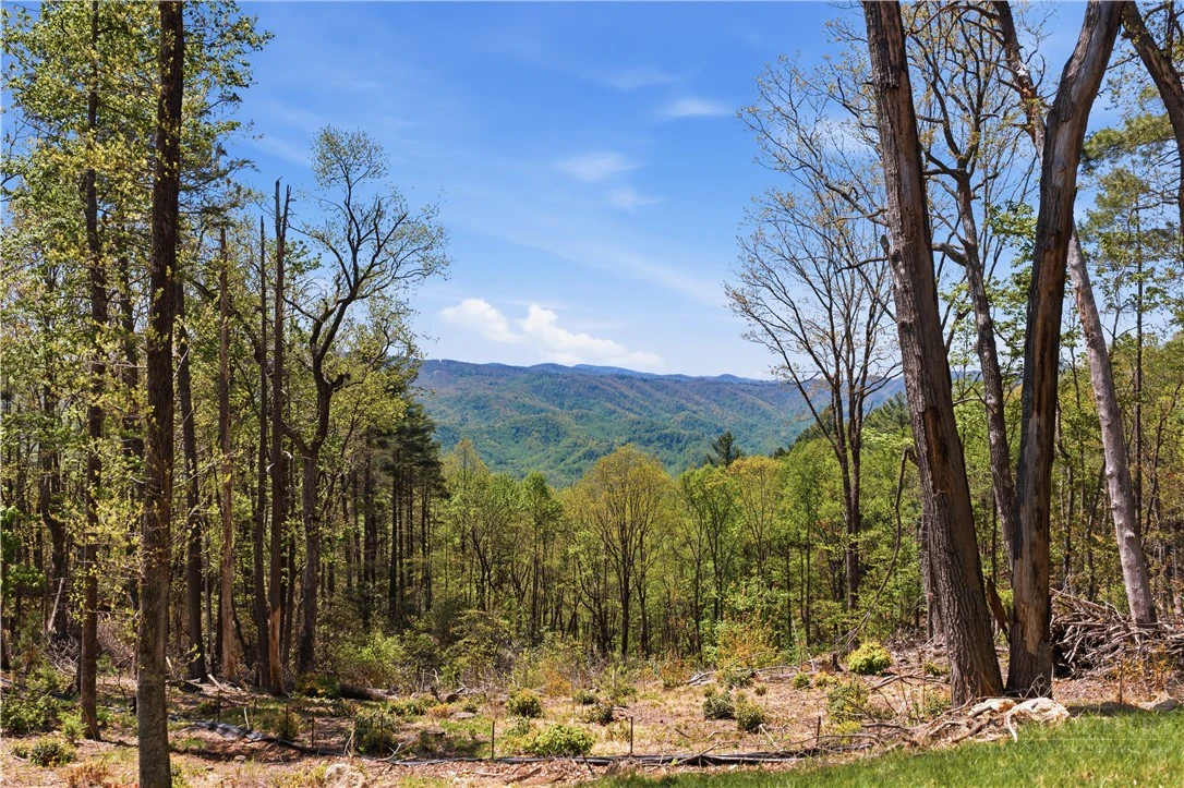 Image number 1 for the current listing