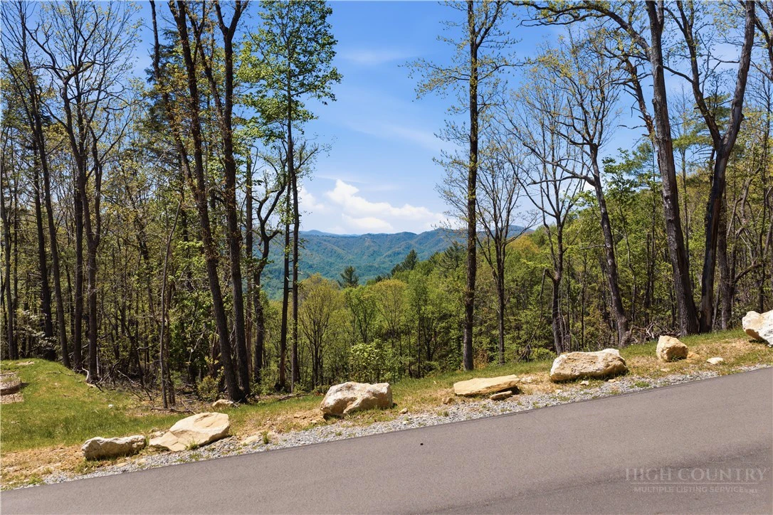 Image number 15 for the current listing