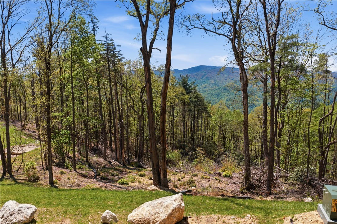 Image number 14 for the current listing