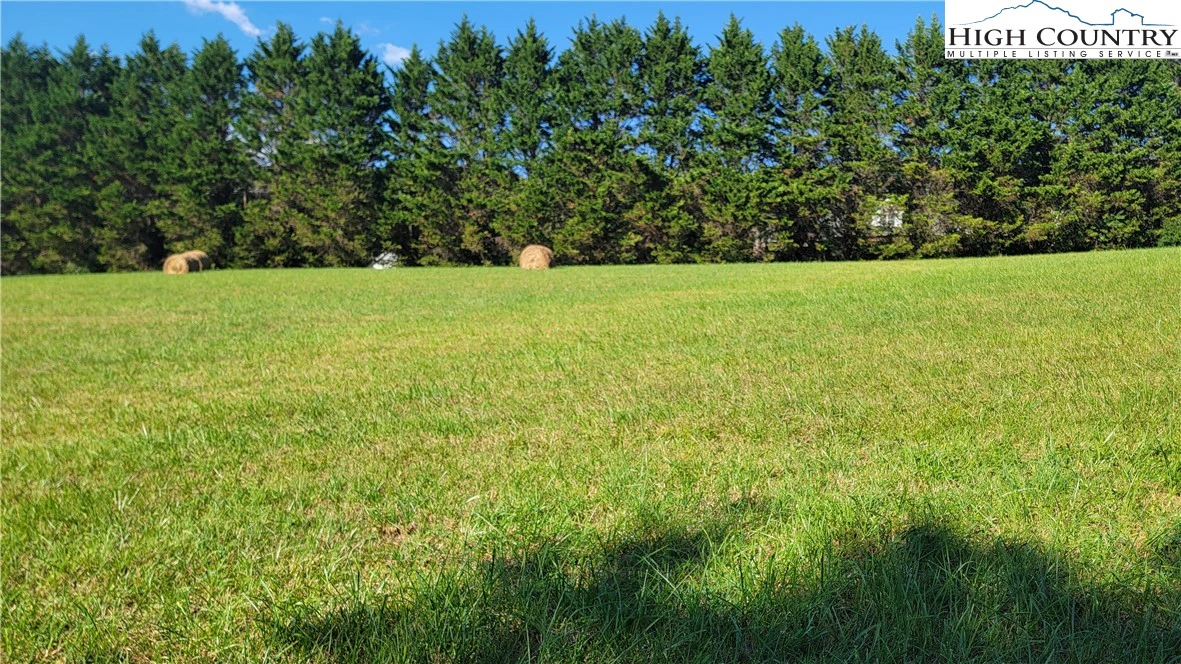 Image number 1 for the current listing