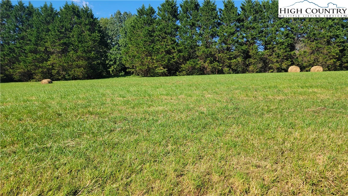 Image number 1 for the current listing