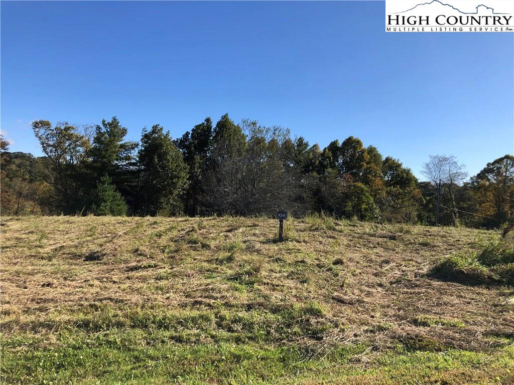 Image number 1 for the current listing