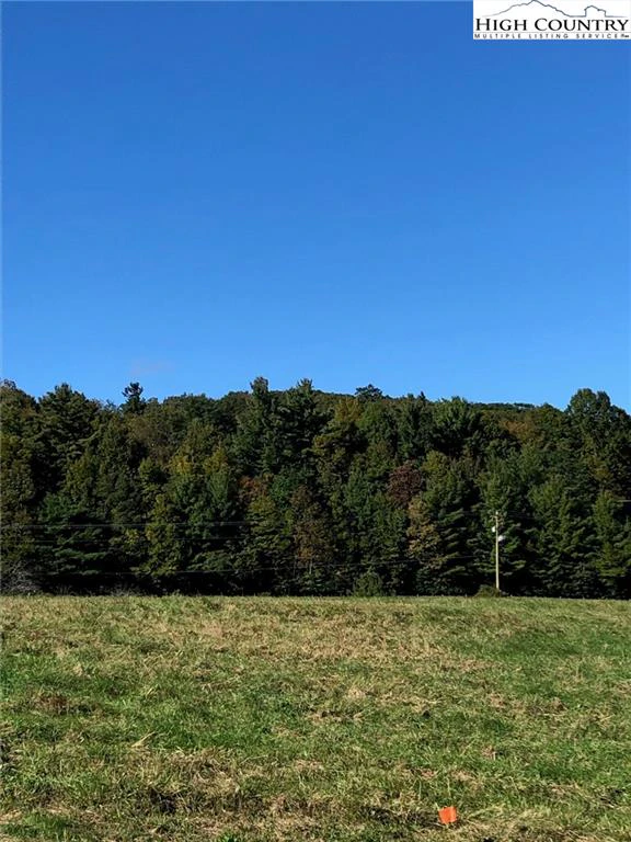 Image number 4 for the current listing