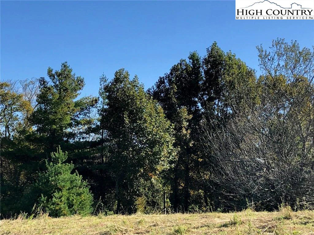 Image number 6 for the current listing