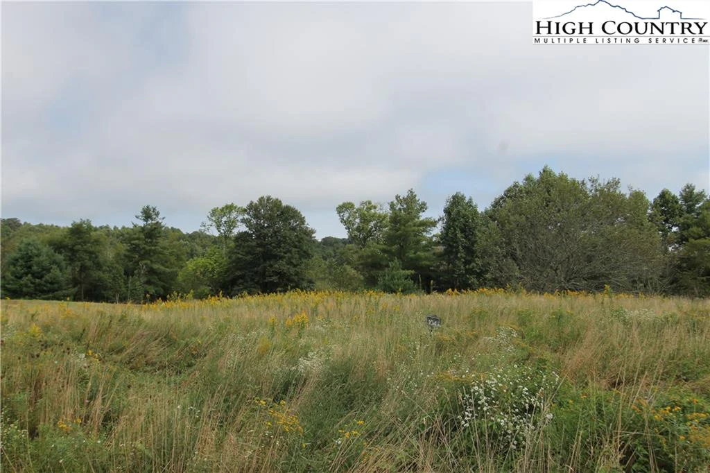 Image number 7 for the current listing
