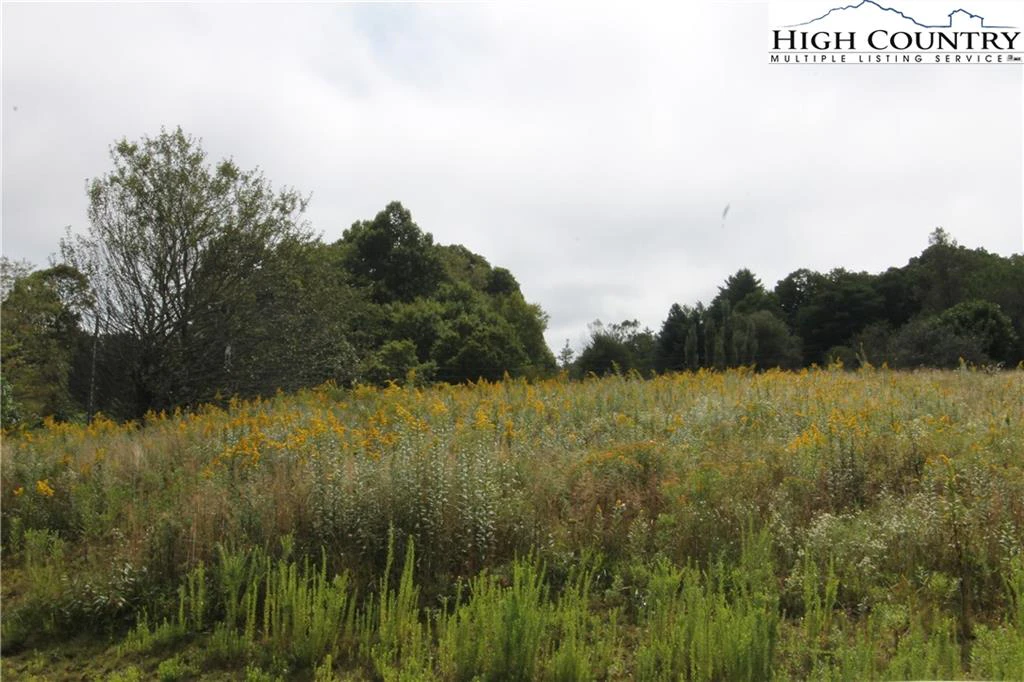 Image number 10 for the current listing
