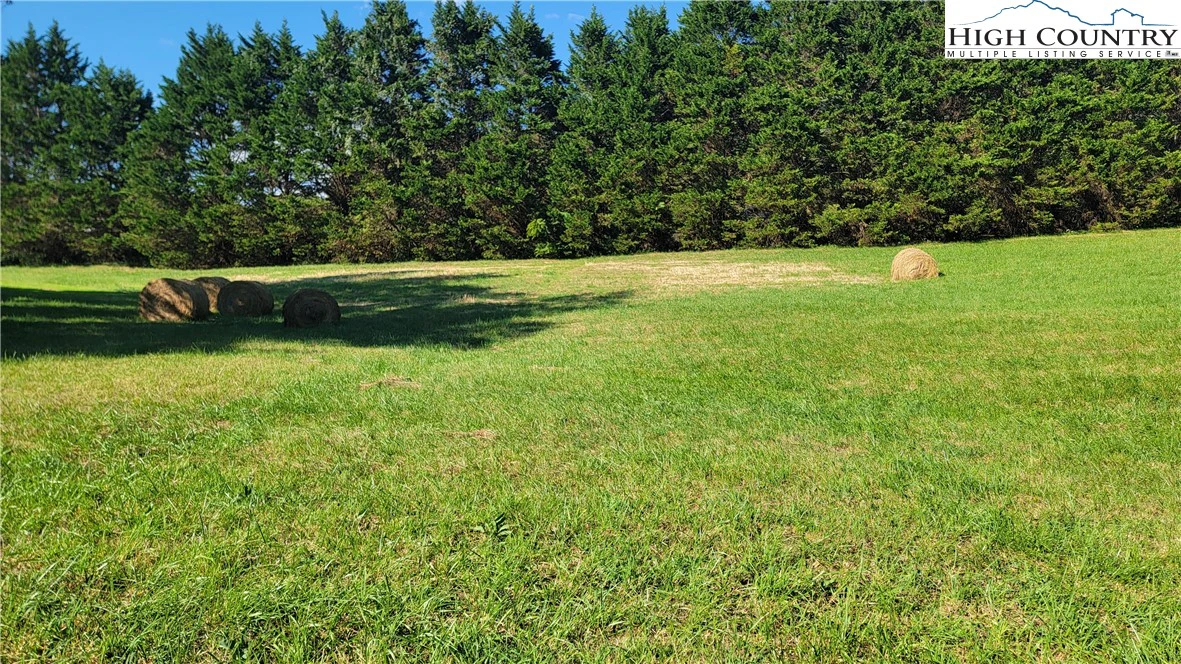 Image number 1 for the current listing