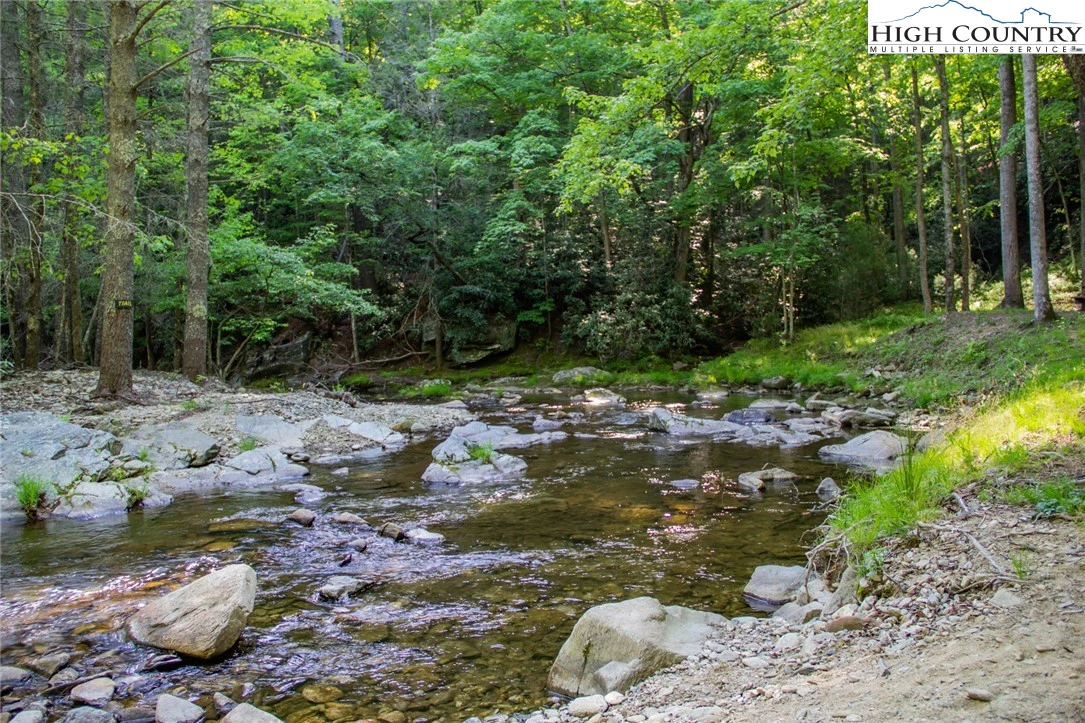 Image number 7 for the current listing