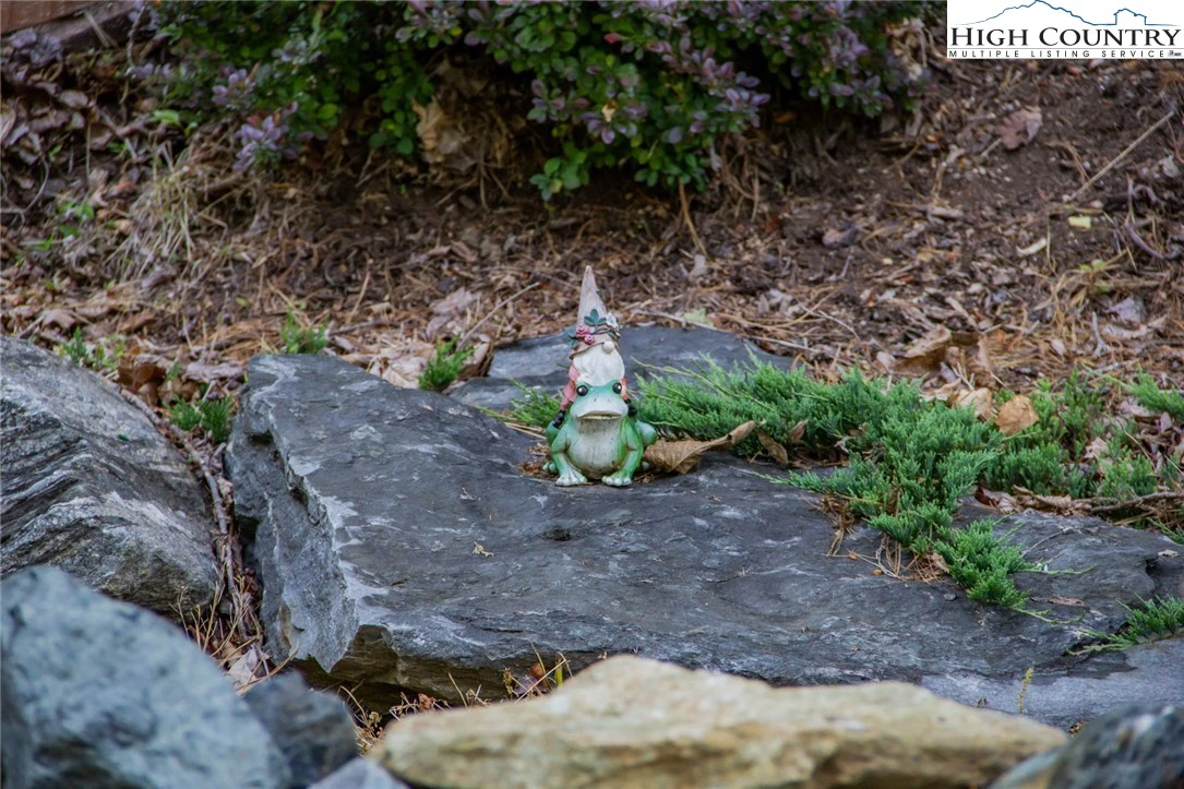 Image number 3 for the current listing