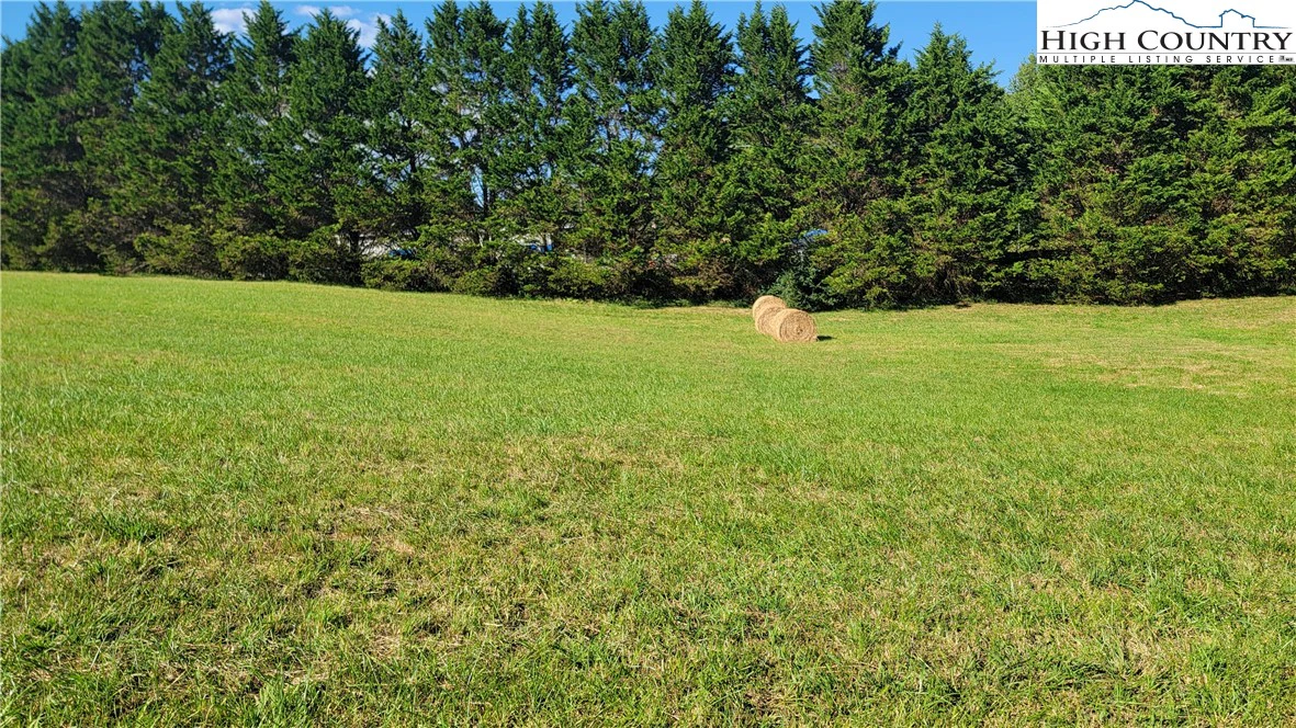 Image number 1 for the current listing