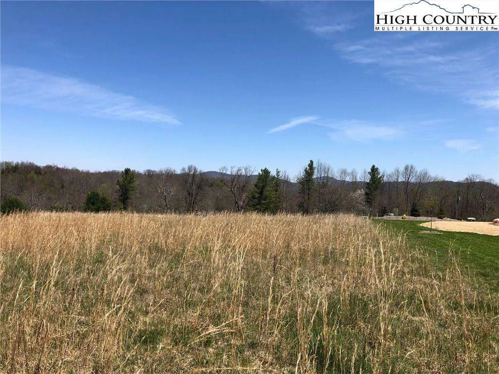 Image number 2 for the current listing