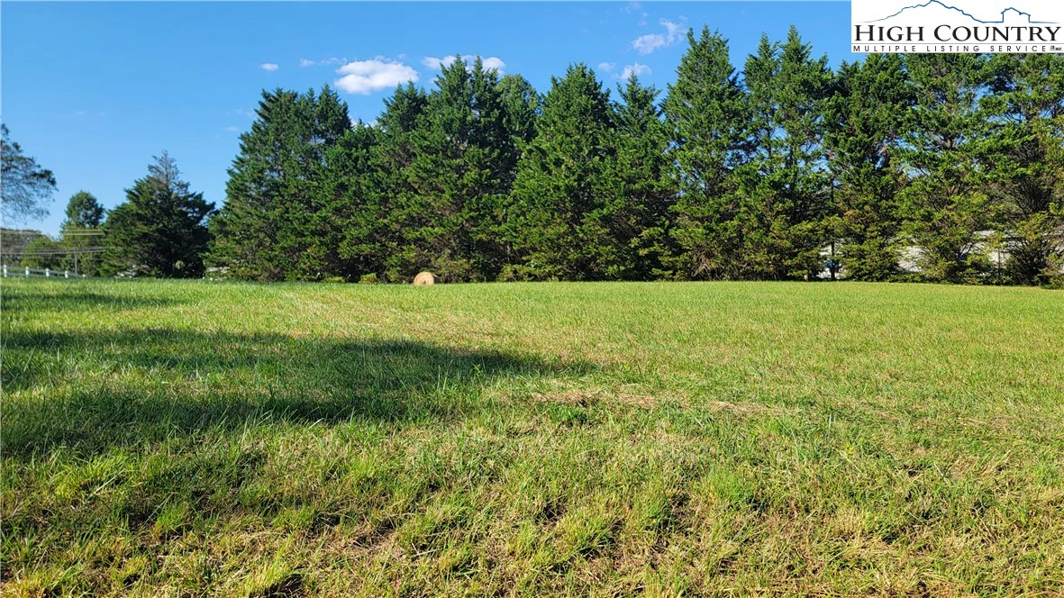 Image number 1 for the current listing