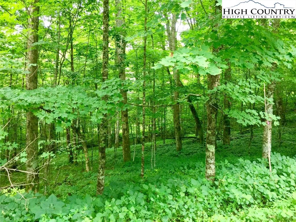 Image number 1 for the current listing
