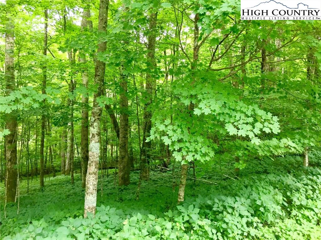 Image number 19 for the current listing