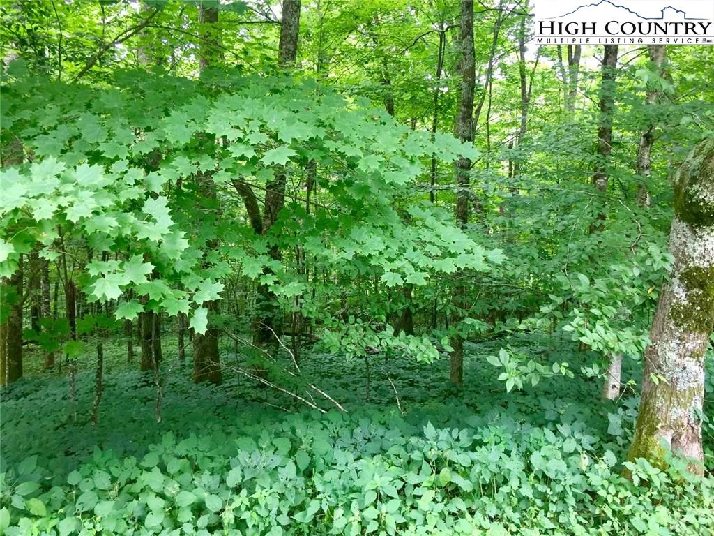 Image number 18 for the current listing