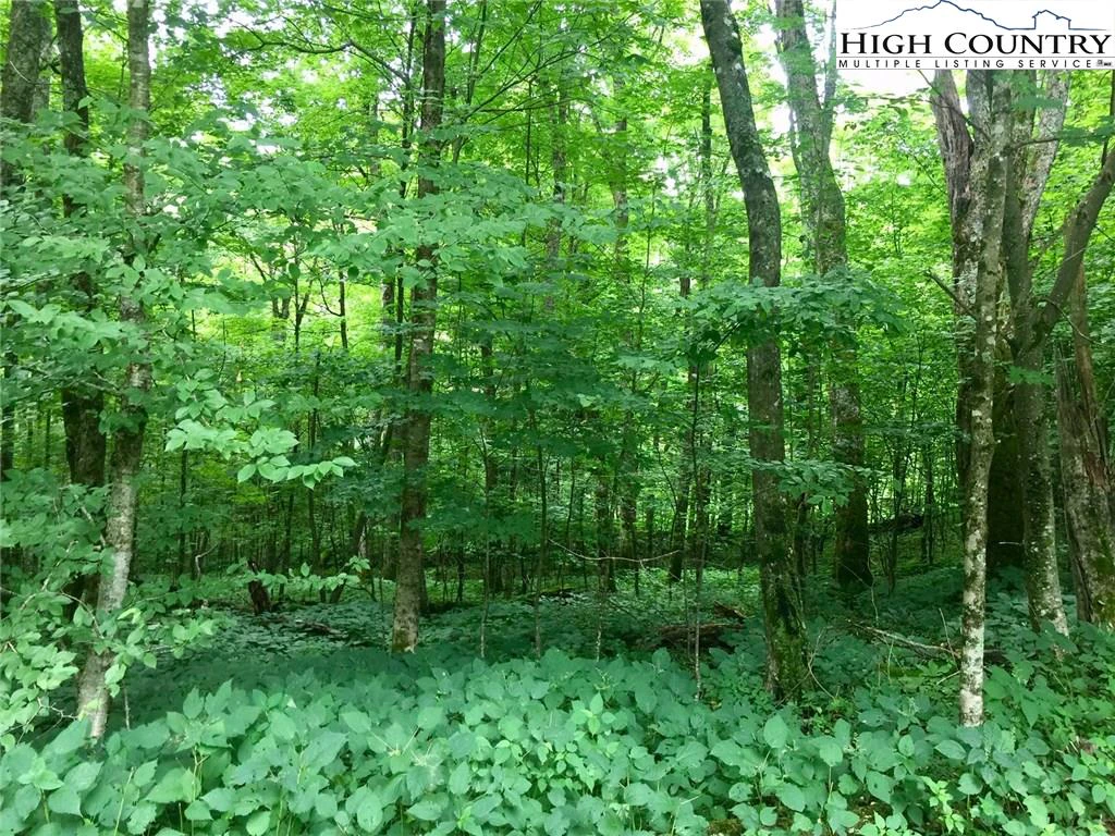 Image number 17 for the current listing