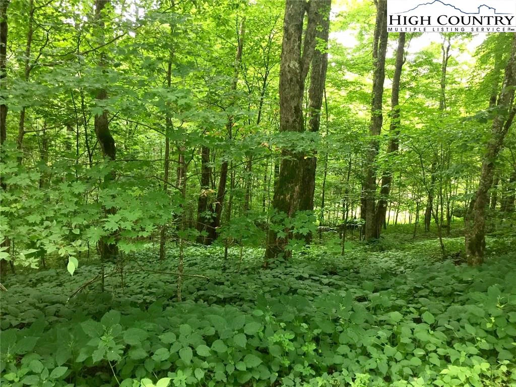 Image number 16 for the current listing