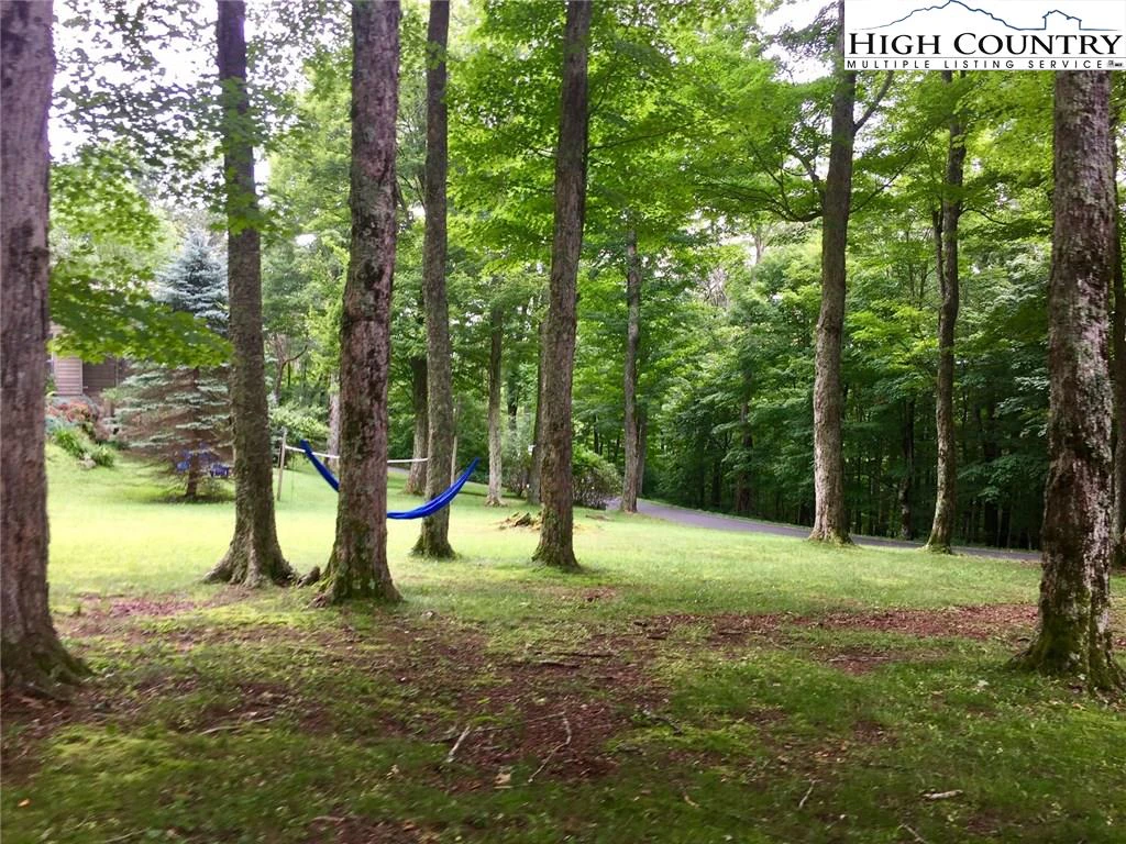 Image number 12 for the current listing