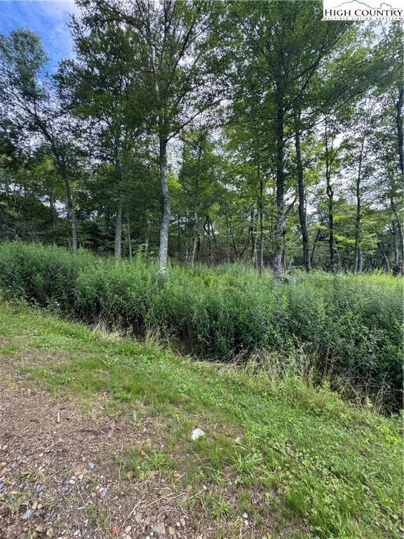 Image number 5 for the current listing