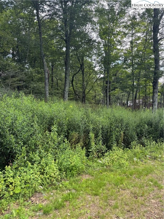 Image number 6 for the current listing