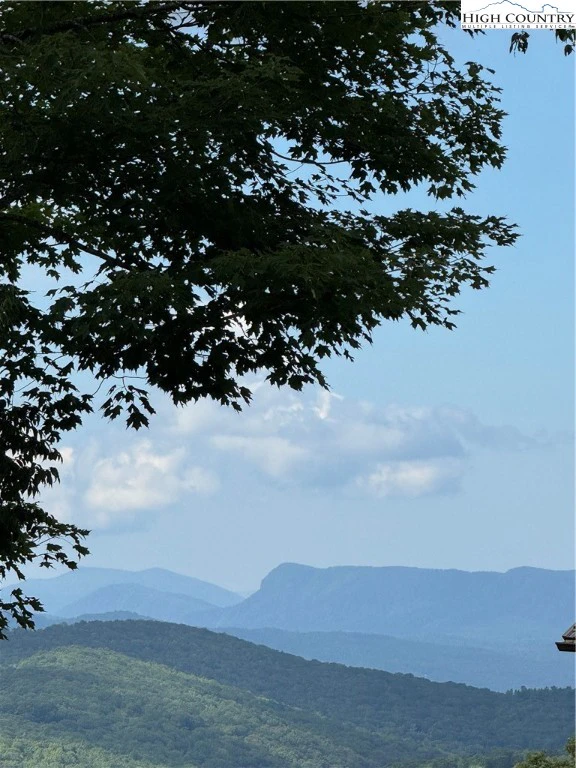 Image number 3 for the current listing