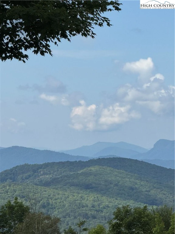 Image number 9 for the current listing