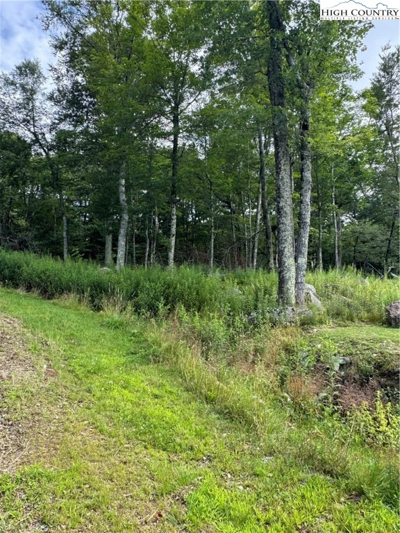 Image number 7 for the current listing